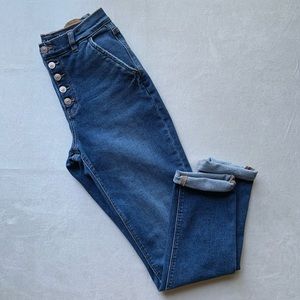 American Eagle Stretch Mom Jean 2 Extra Long